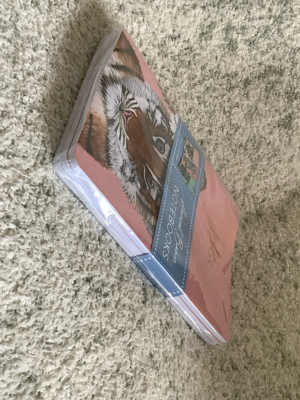 Animal Babies Journal Notebook Trio 3pack lined NWT by OCS Designs 5.75”x8.25”
